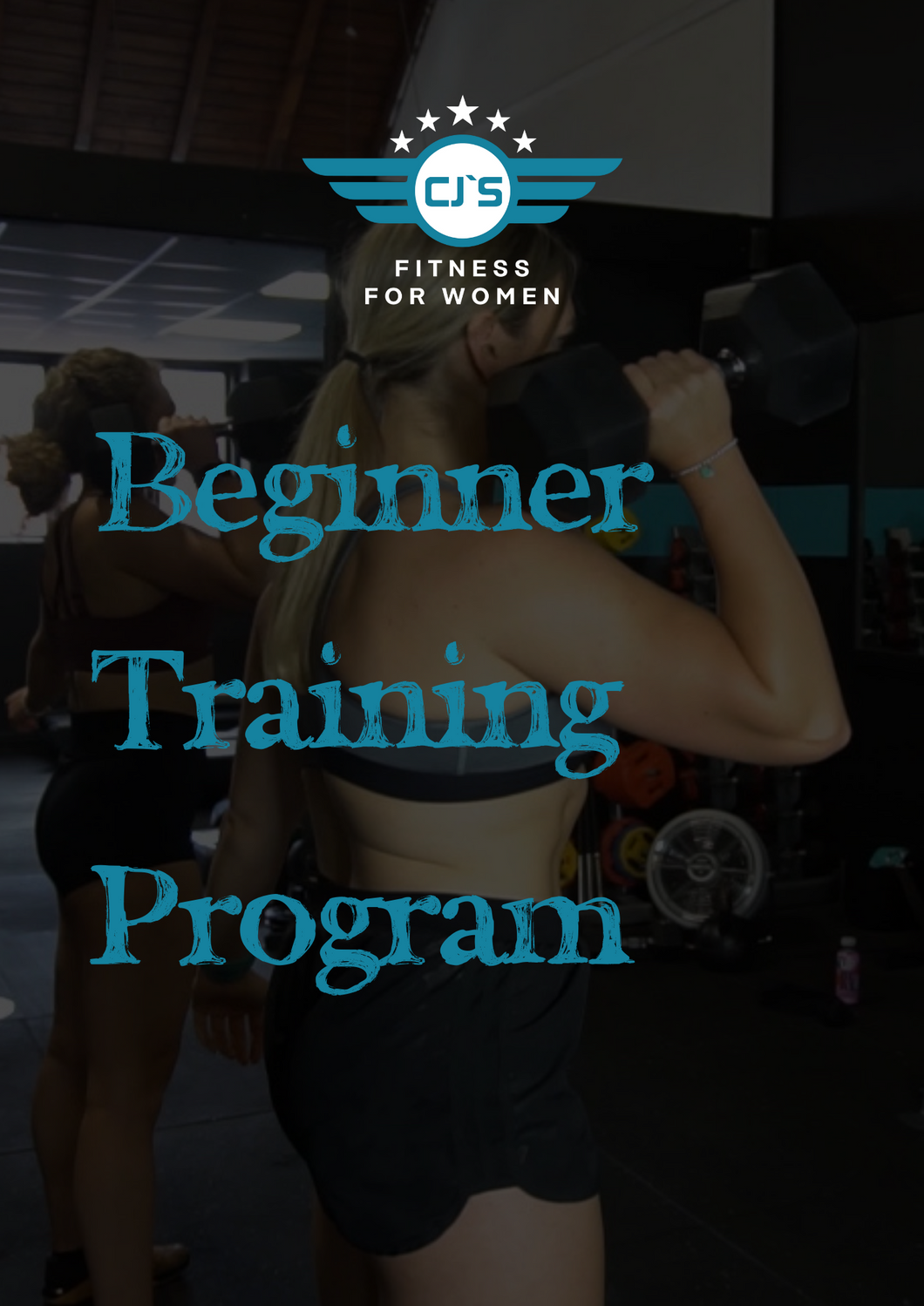 Beginner Training Program